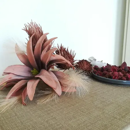 Tipica Casa Ligure In Pietra - Centro - Typical Ligurian Stone House Σπίτι διακοπών Garlenda